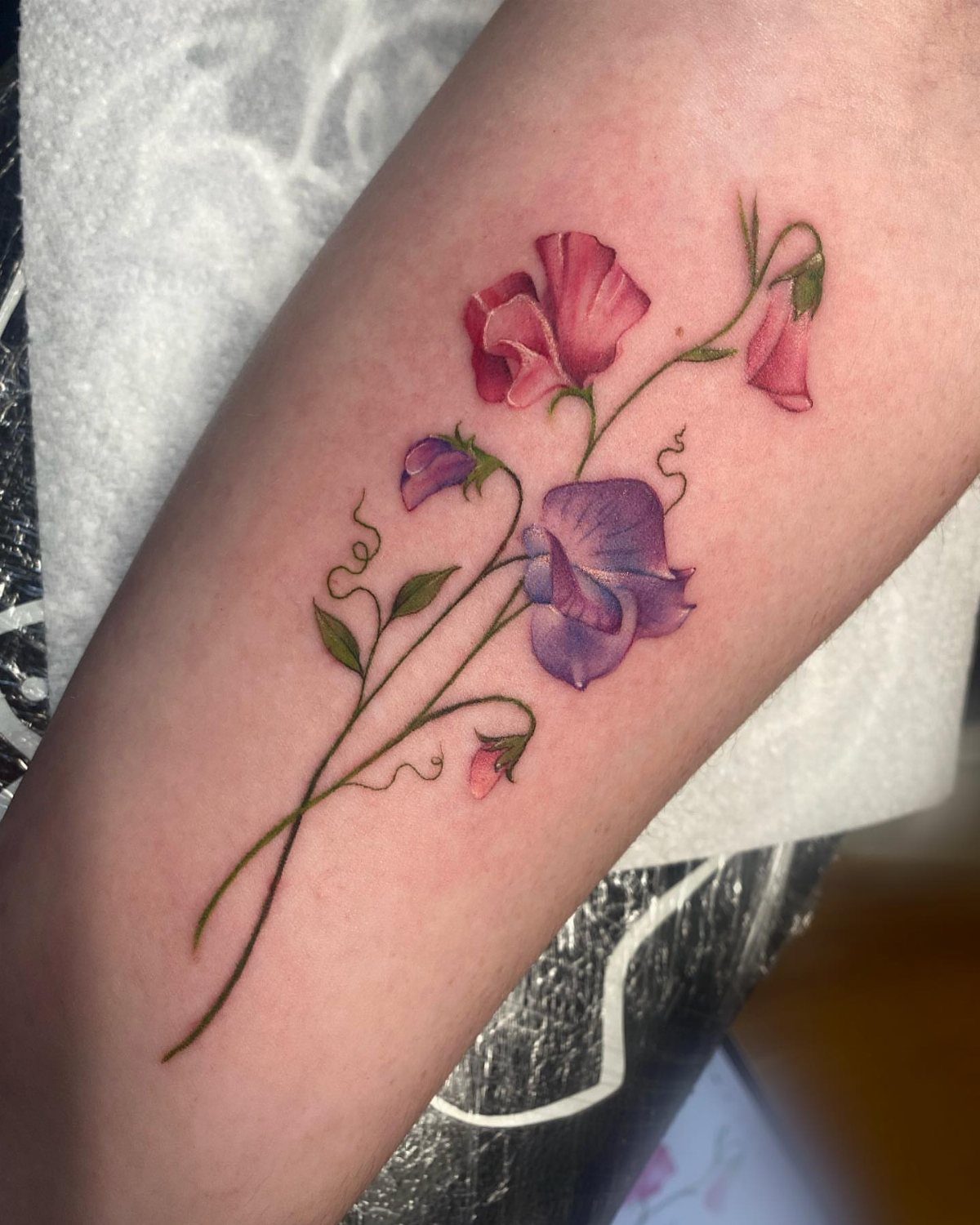 Sweet pea flower tattoo with pink and purple petals on a forearm