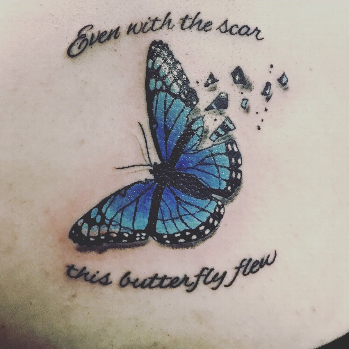 Blue butterfly tattoo with a shattering wing and cursive text on skin