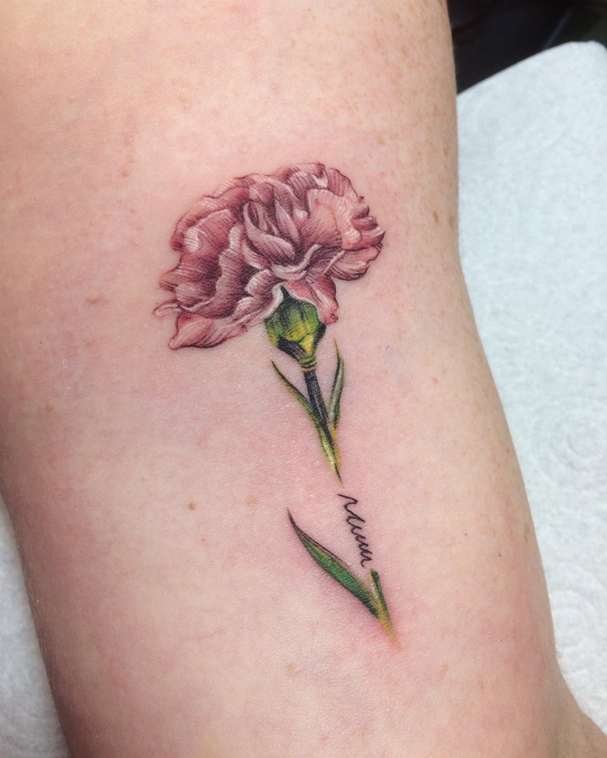 Pink carnation flower tattoo with a green stem and cursive name on skin