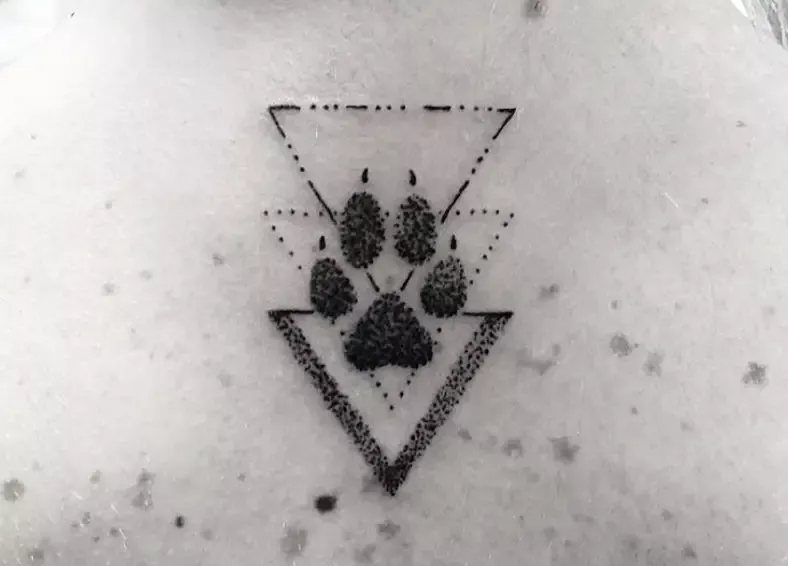 Cat paw print tattoo enclosed within a geometric triangle design on pale skin.