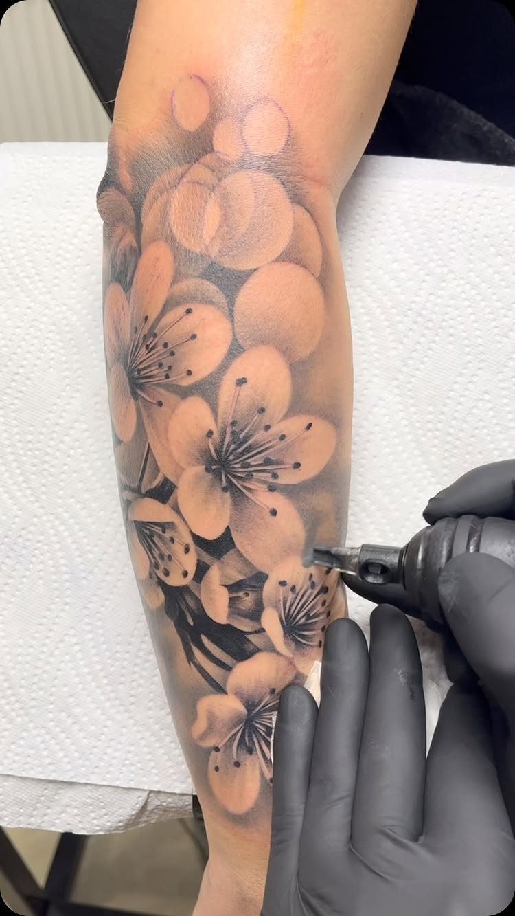 Black and grey cherry blossom tattoo being applied to a person's forearm.