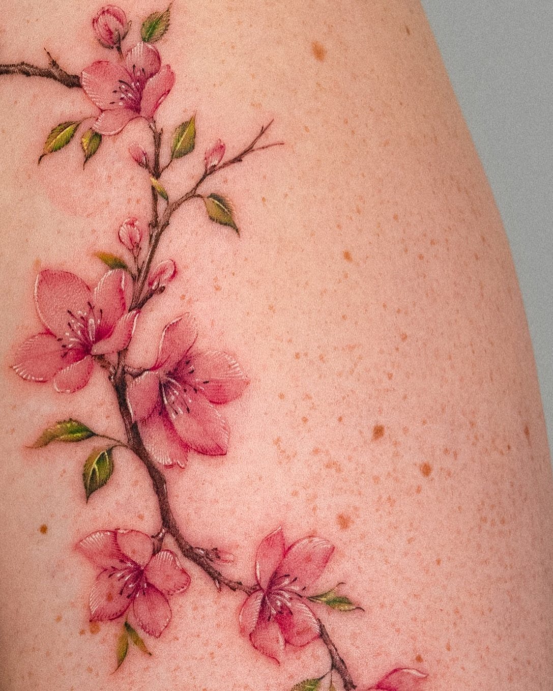 Pink cherry blossom tattoo with brown branches and green leaves on fair skin