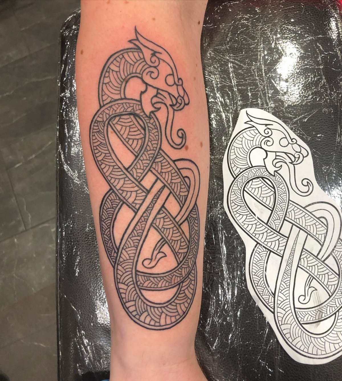 Celtic knot dragon tattoo on a forearm next to its paper stencil design