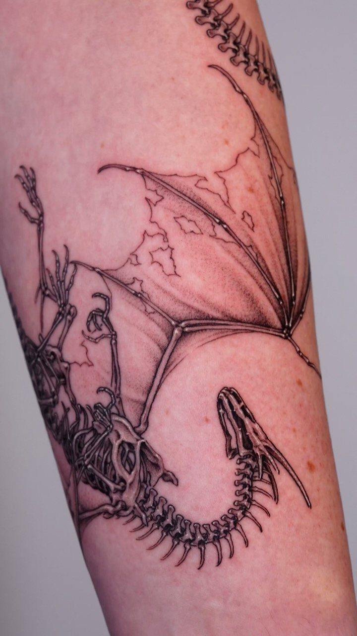 Skeletal dragon tattoo with detailed bones and wings on a person's arm