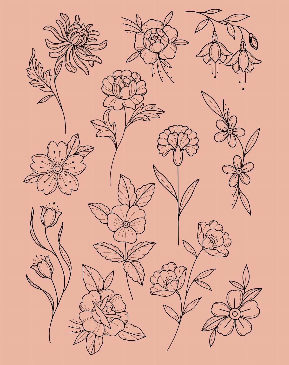Various black line drawings of flower outlines on a muted pink background.