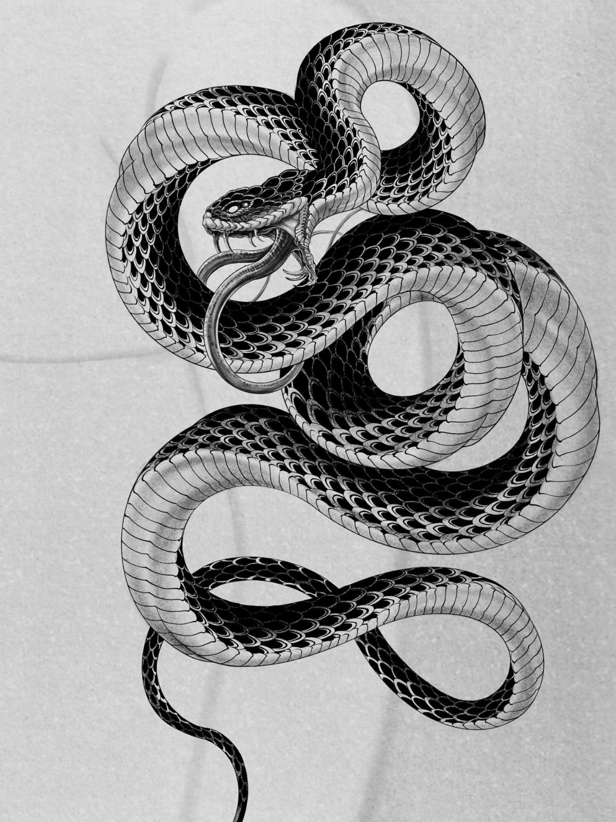 Coiled Japanese snake tattoo design in black and white ink on paper