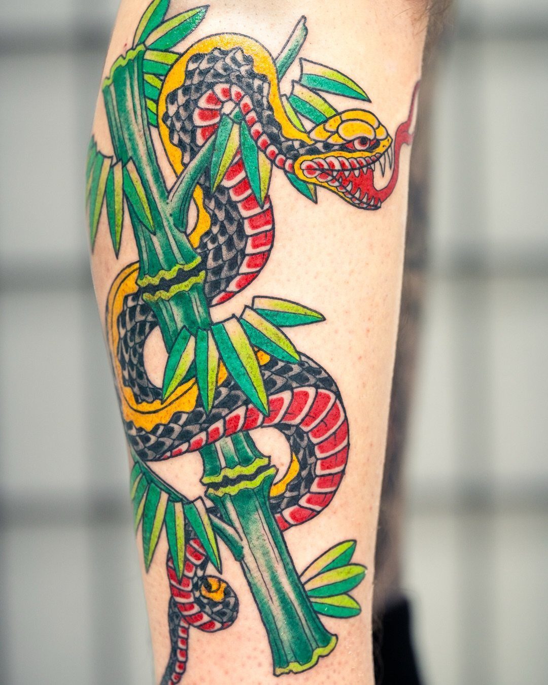 Japanese snake tattoo coiled around green bamboo on a person's arm
