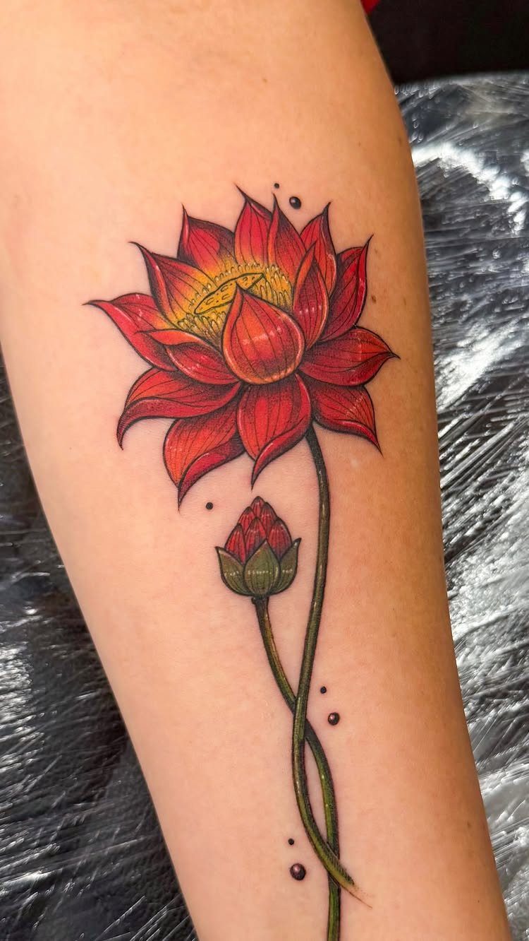 Red lotus flower tattoo with a bud on a person's forearm