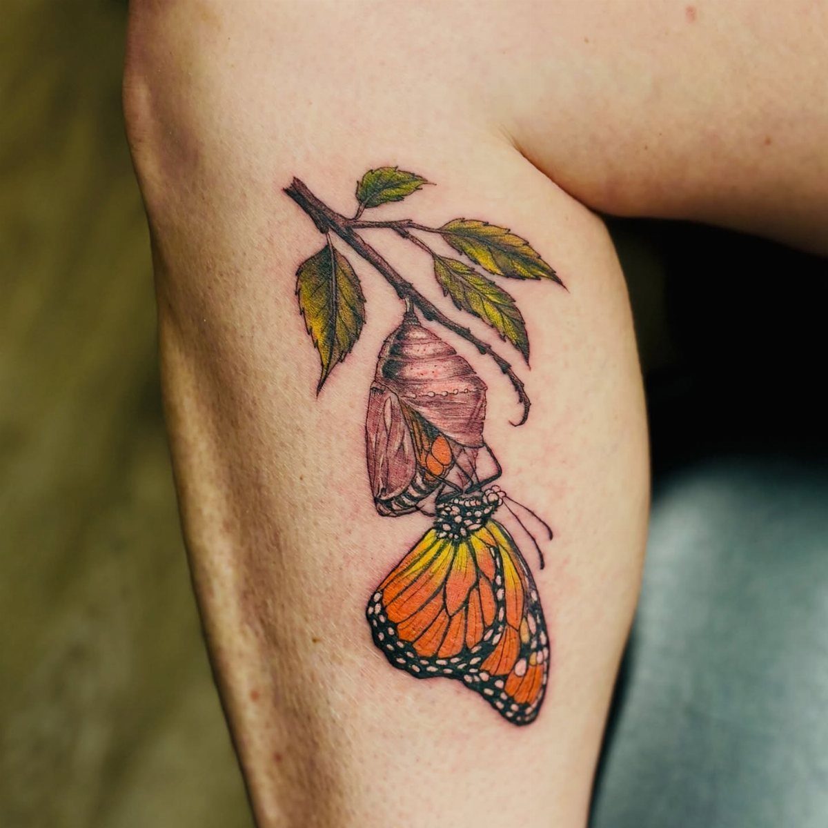 Monarch butterfly emerging from a chrysalis tattoo on a person's leg