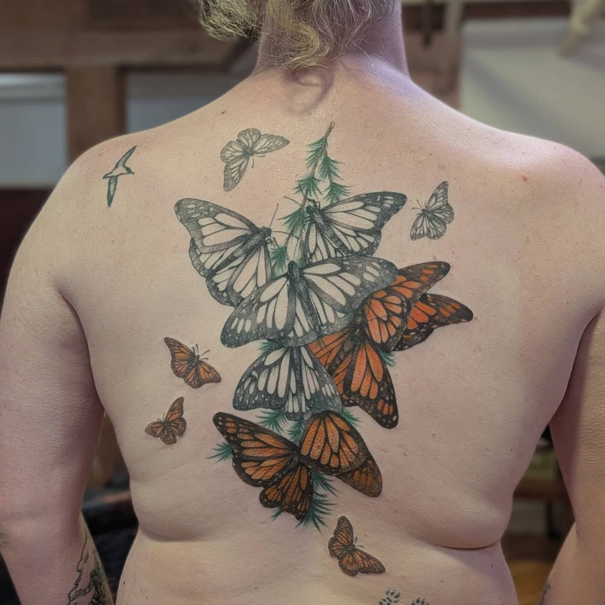 Monarch butterfly tattoo with orange and white wings and green pine needles on back
