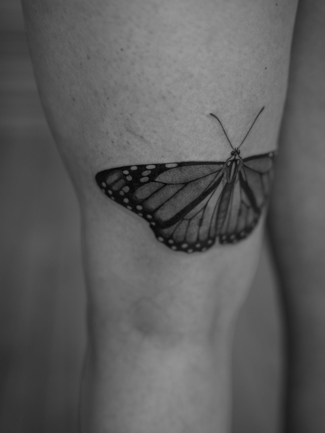 Monarch butterfly tattoo in black and white ink on a person's skin.