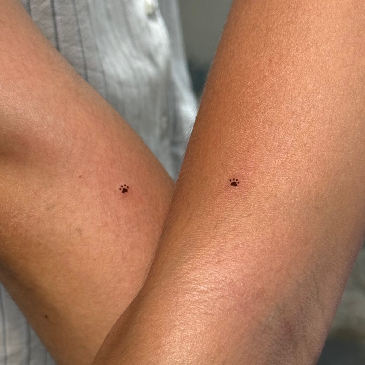Two small black paw print tattoos on the inner wrists of two people.