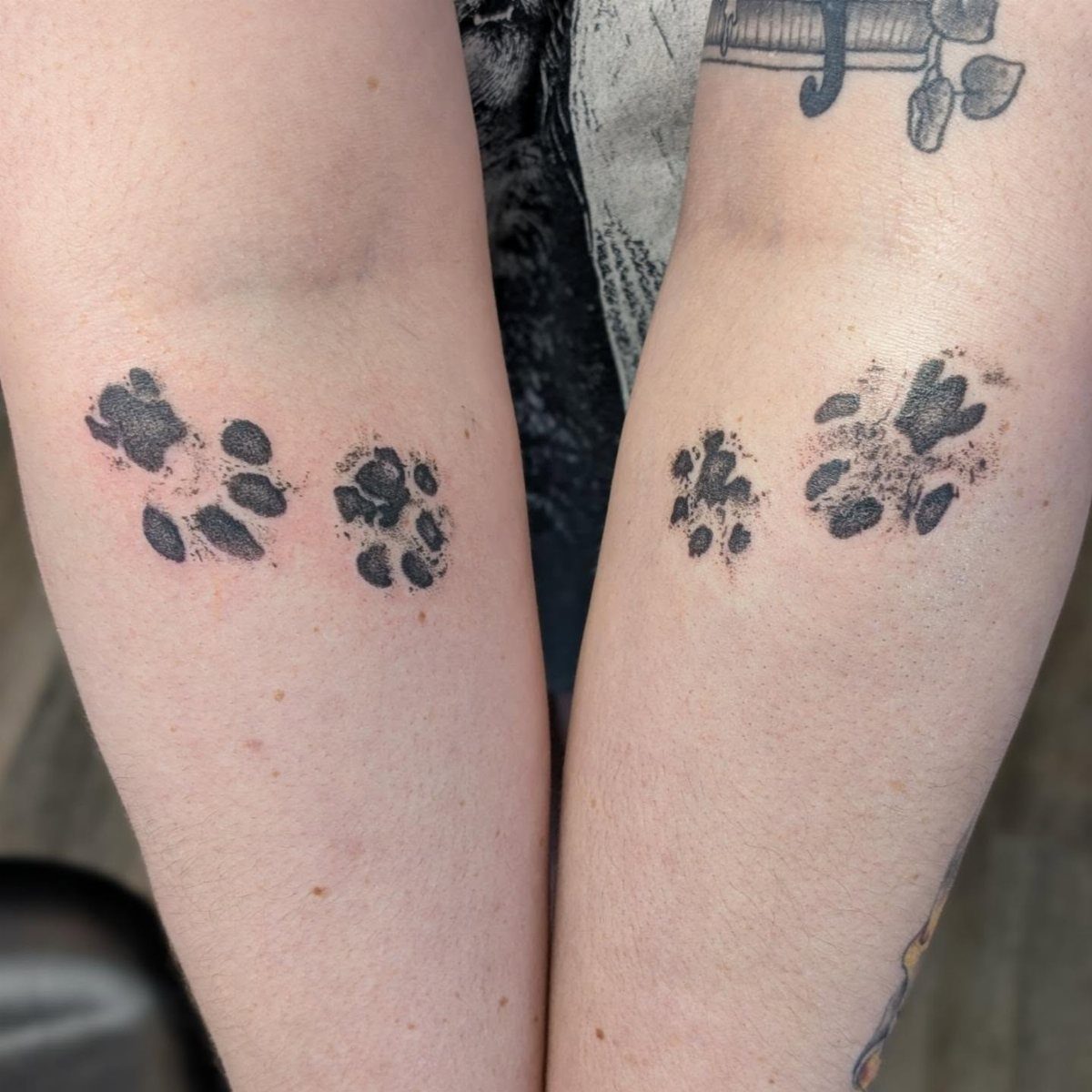 Four black paw print tattoos on the inner forearms of two people.