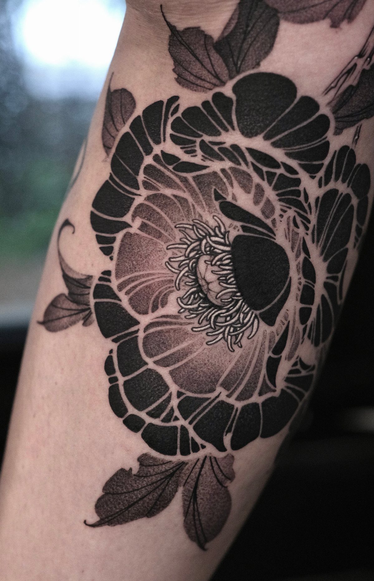 Black and gray peony flower tattoo with detailed shading on a person's arm.