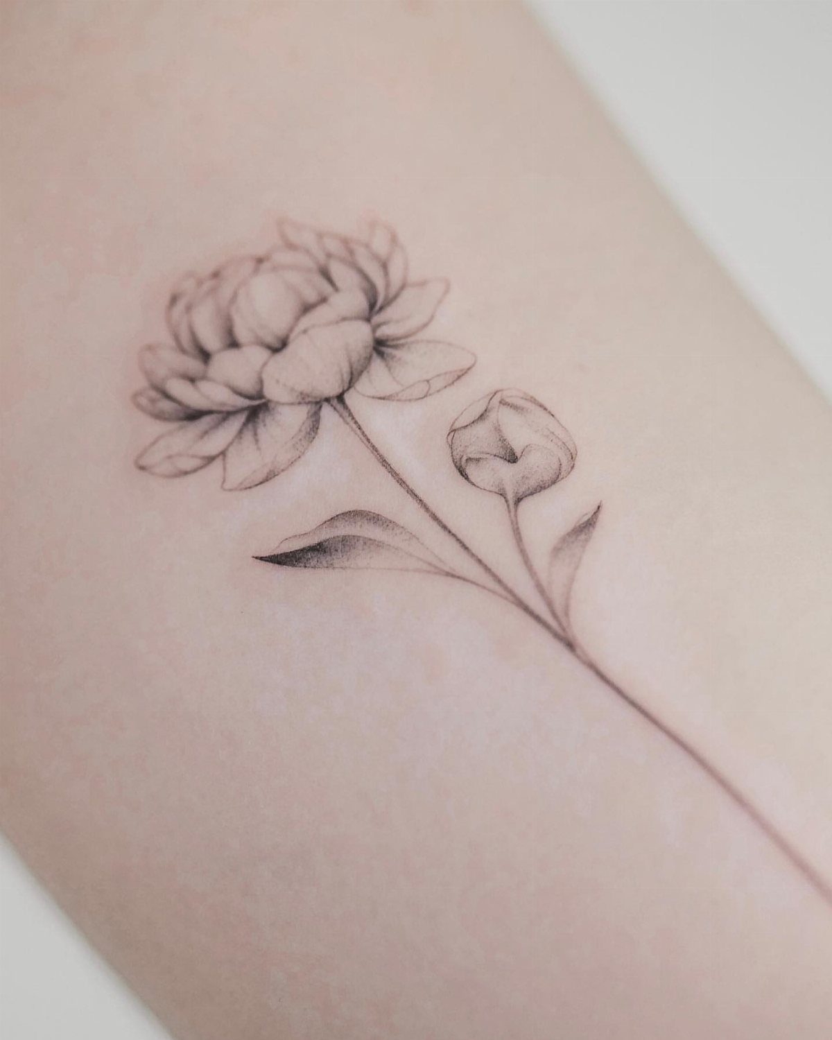 Peony flower tattoo with a full bloom and a bud on fair skin.