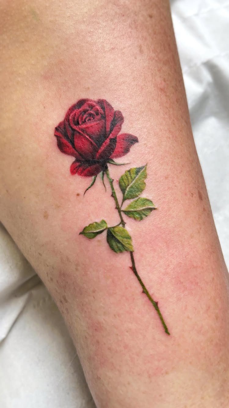 Deep red rose tattoo with green leaves and stem on a forearm.