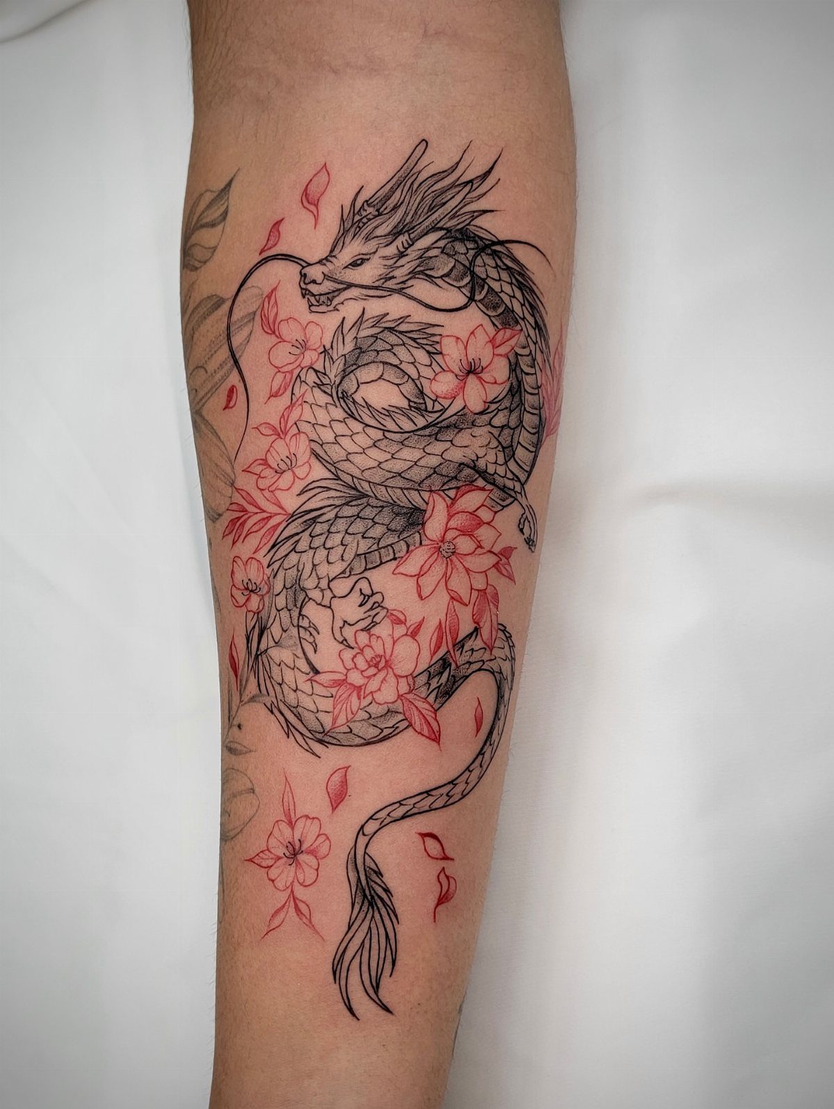 Chinese dragon tattoo with red cherry blossoms on a person's forearm