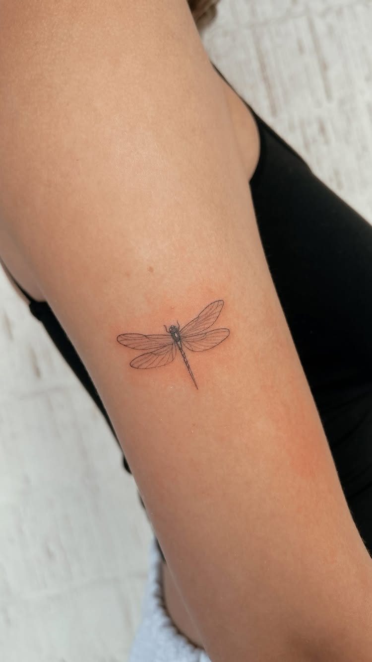 Small minimalist dragonfly tattoo with thin black lines on a person's inner arm.