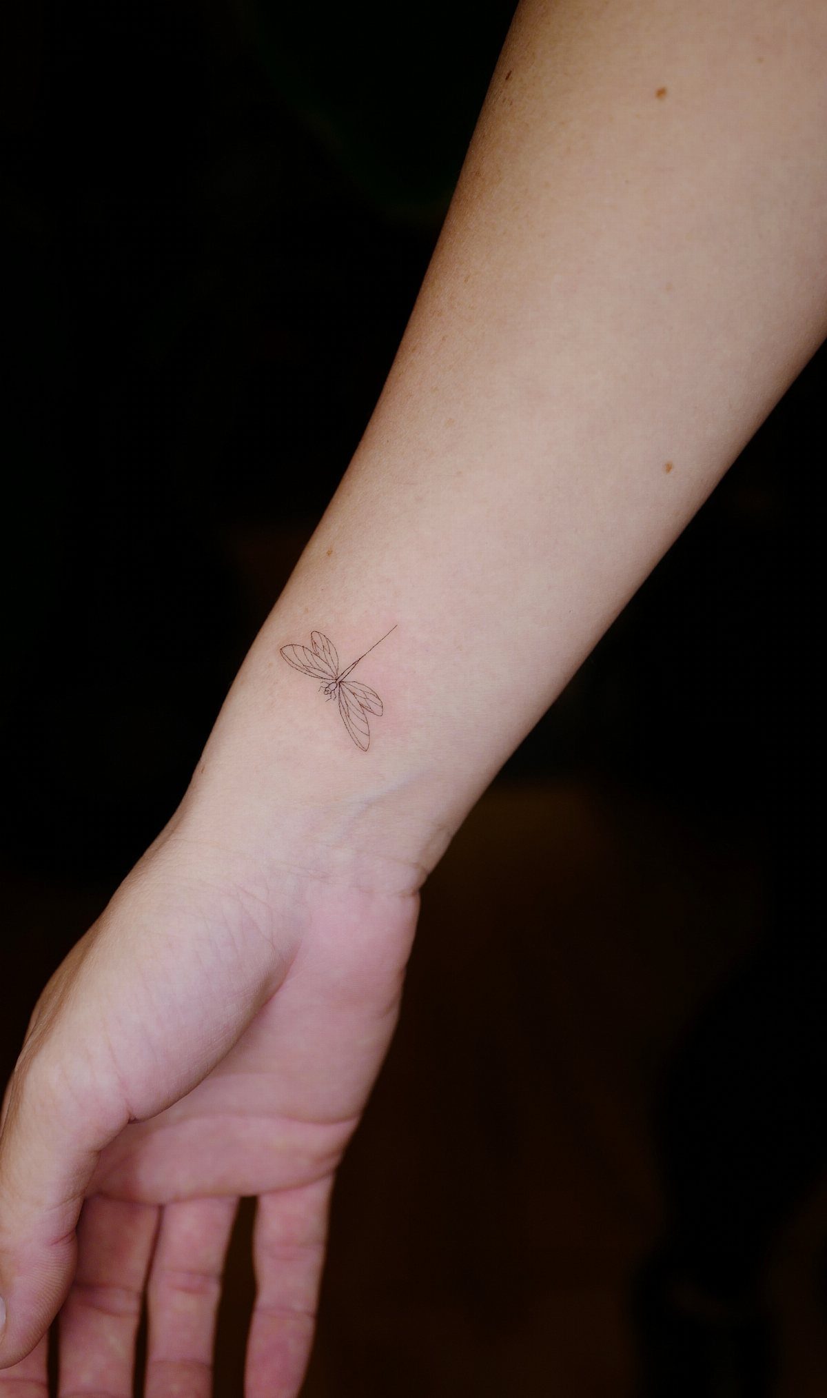 Small black ink dragonfly tattoo on the inner wrist of a person.