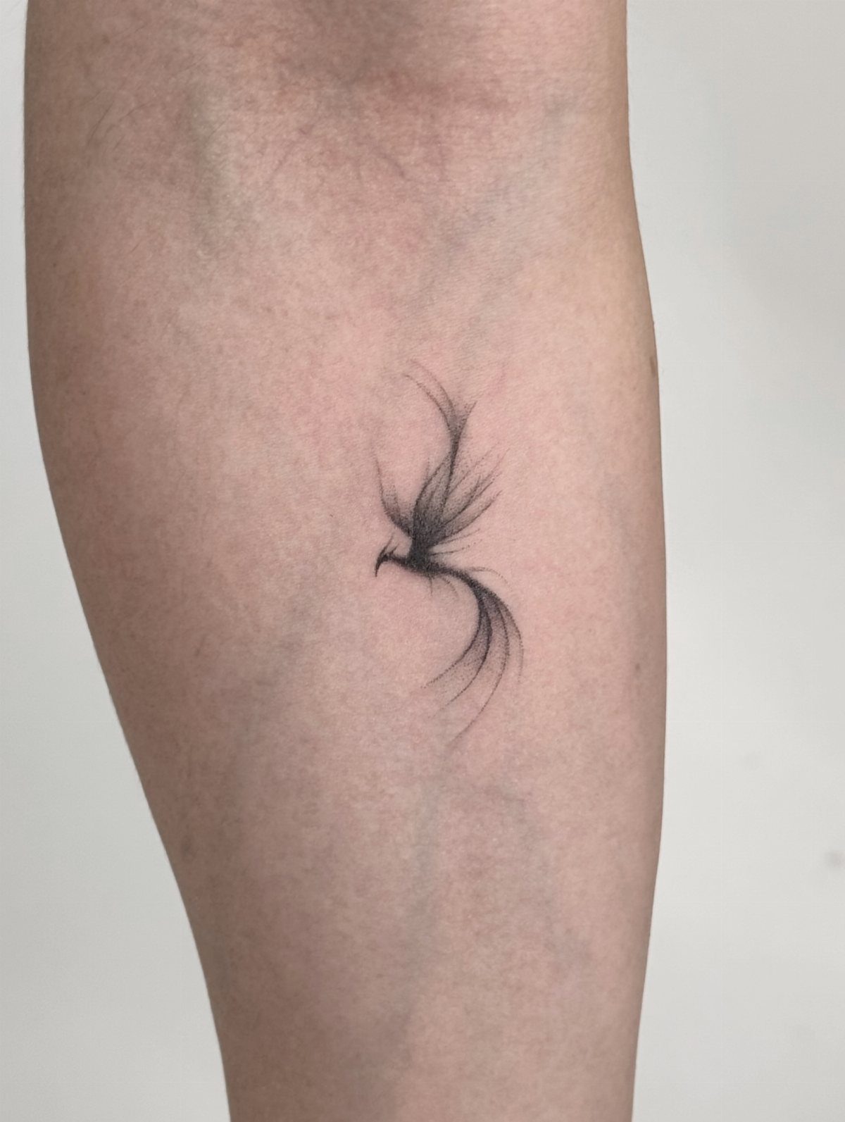 Stylized phoenix silhouette tattoo with wispy black lines on a person's arm.