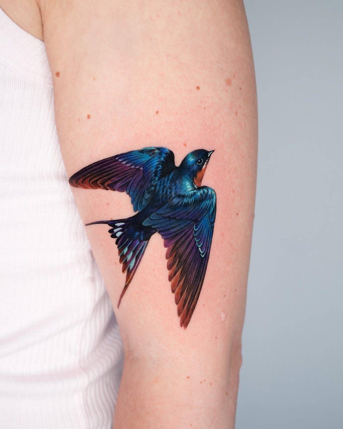 Vibrant blue and red swallow bird tattoo on a person's upper arm.