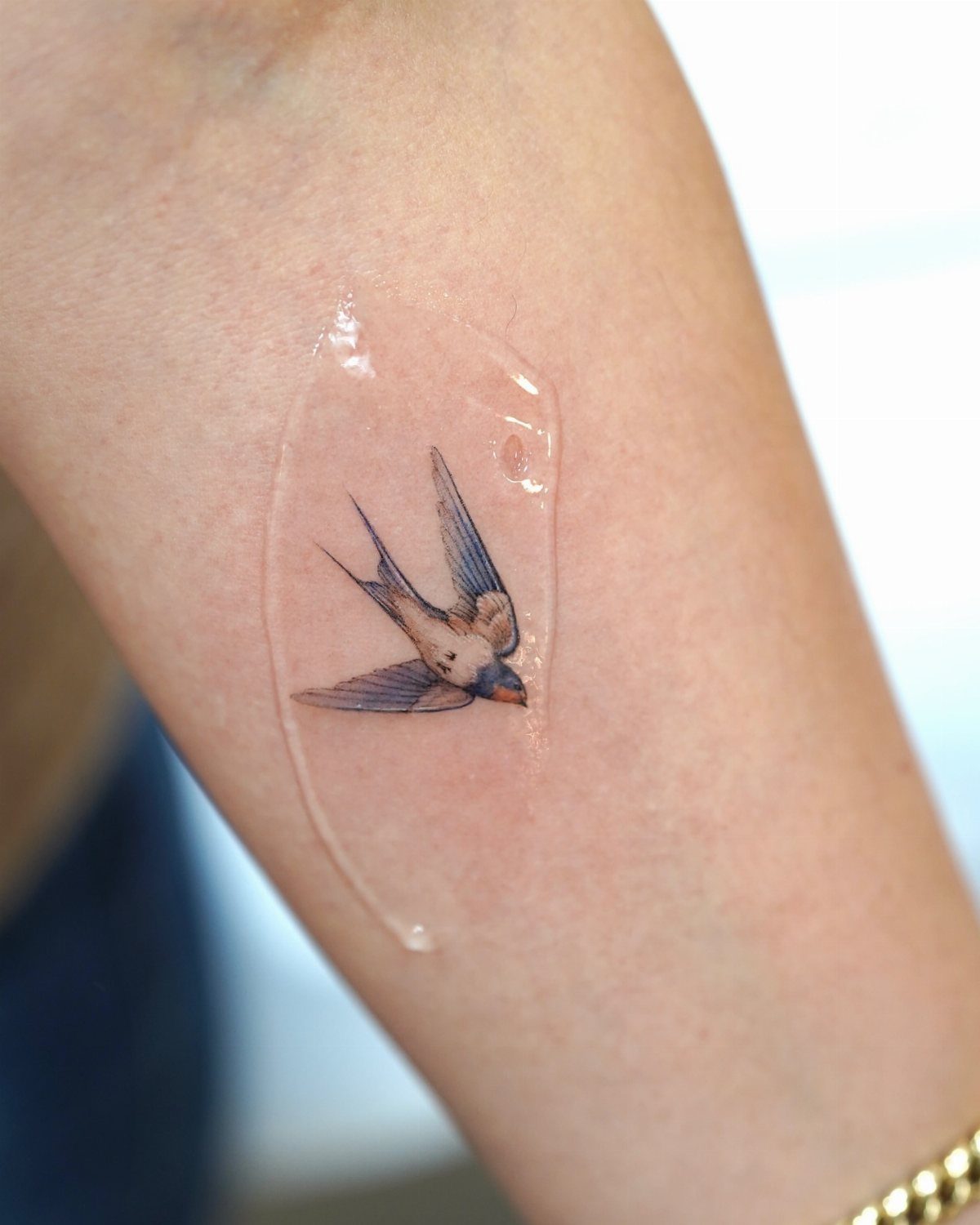 Swallow bird tattoo on a forearm with clear protective ointment applied over it.