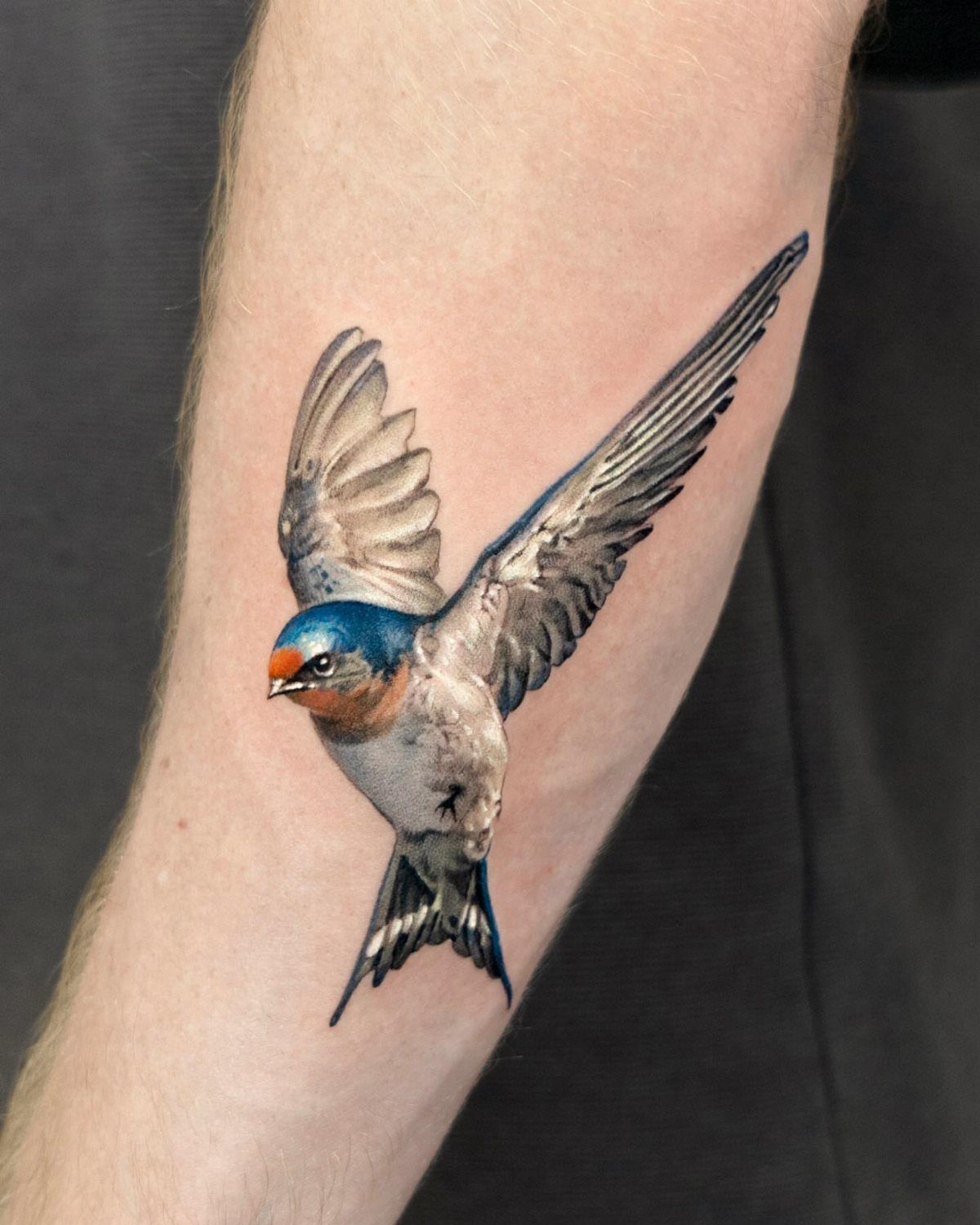 Realistic swallow bird tattoo with blue and orange colors on a forearm