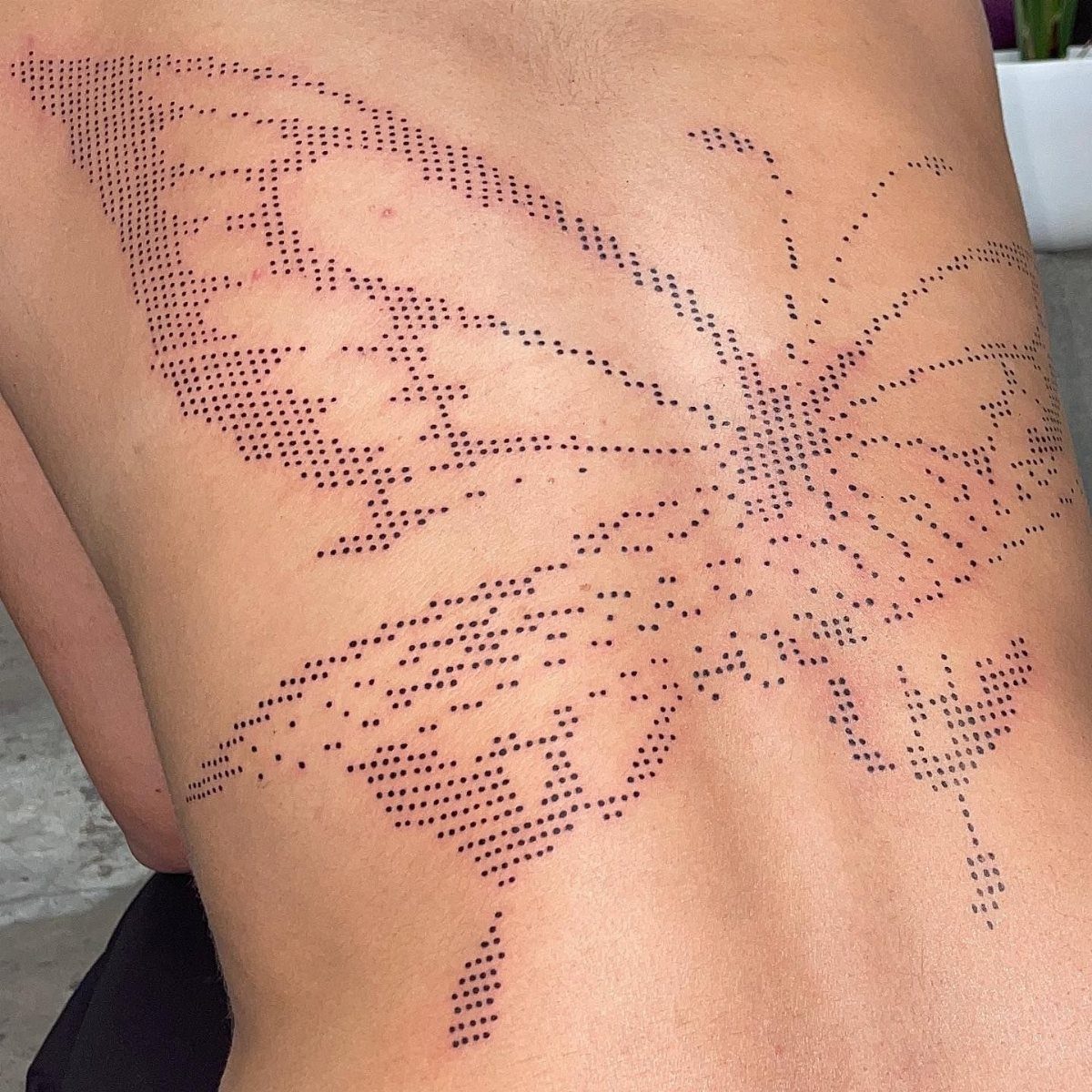 Butterfly tattoo on a back created with light dotwork for texture and shading