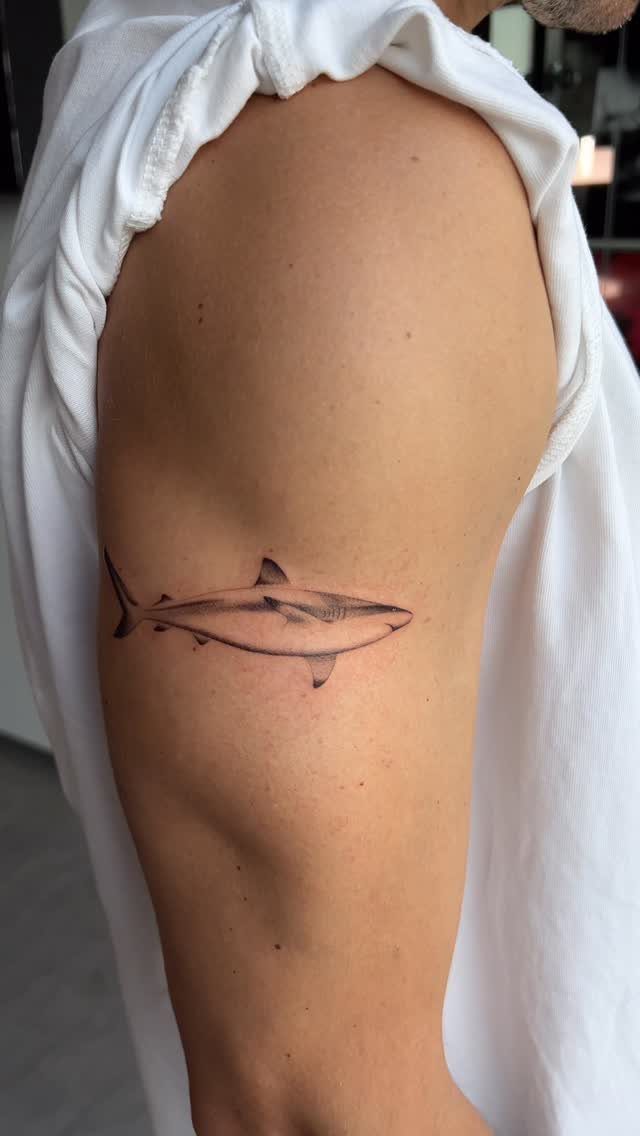 Fine-line tiger shark tattoo on a person's upper arm with thin black outlines.