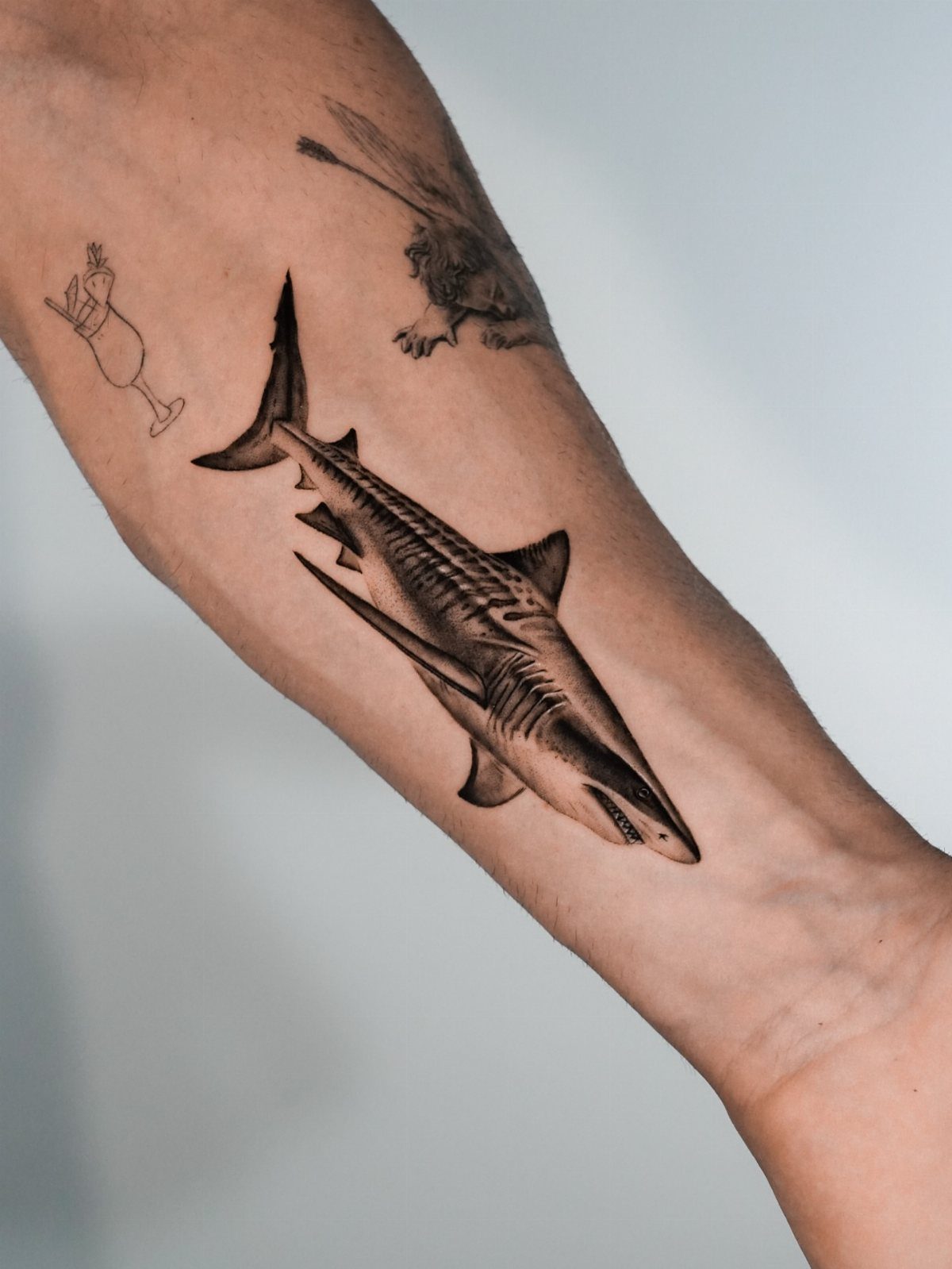 Realistic tiger shark tattoo in black and grey ink on a person's forearm.