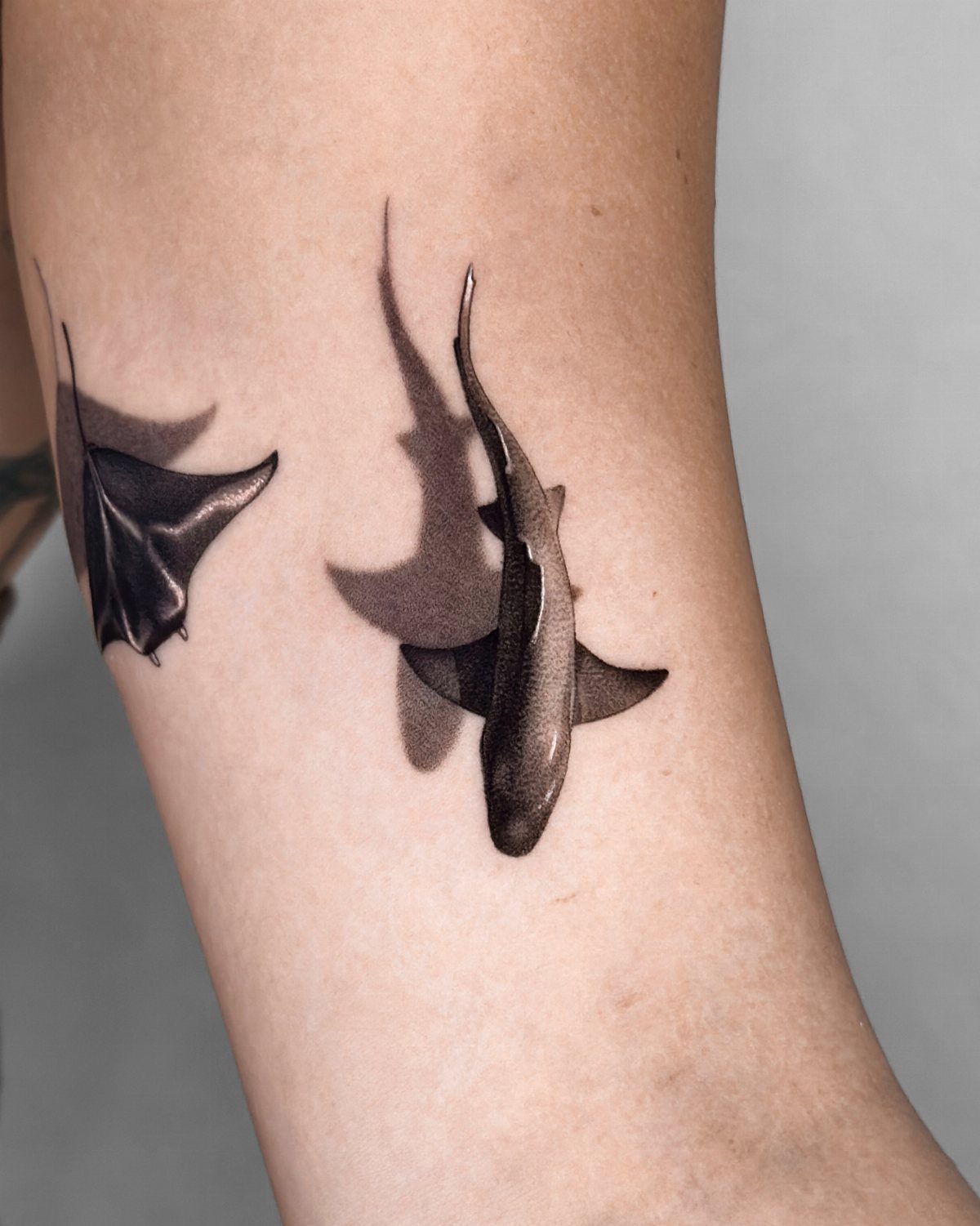Shark and stingray tattoo in black and grey ink on a person's leg.