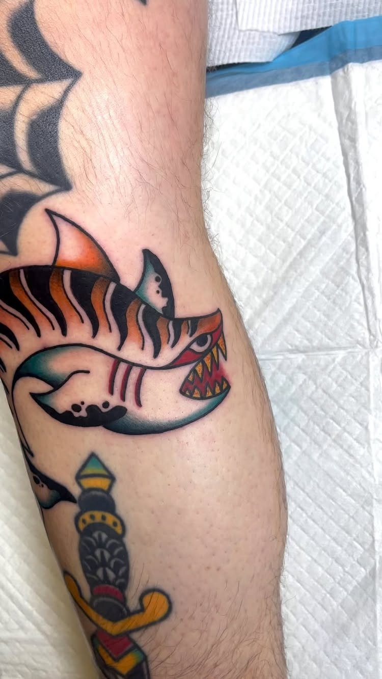 Tiger shark tattoo with bold outlines and orange stripes on a person's leg.