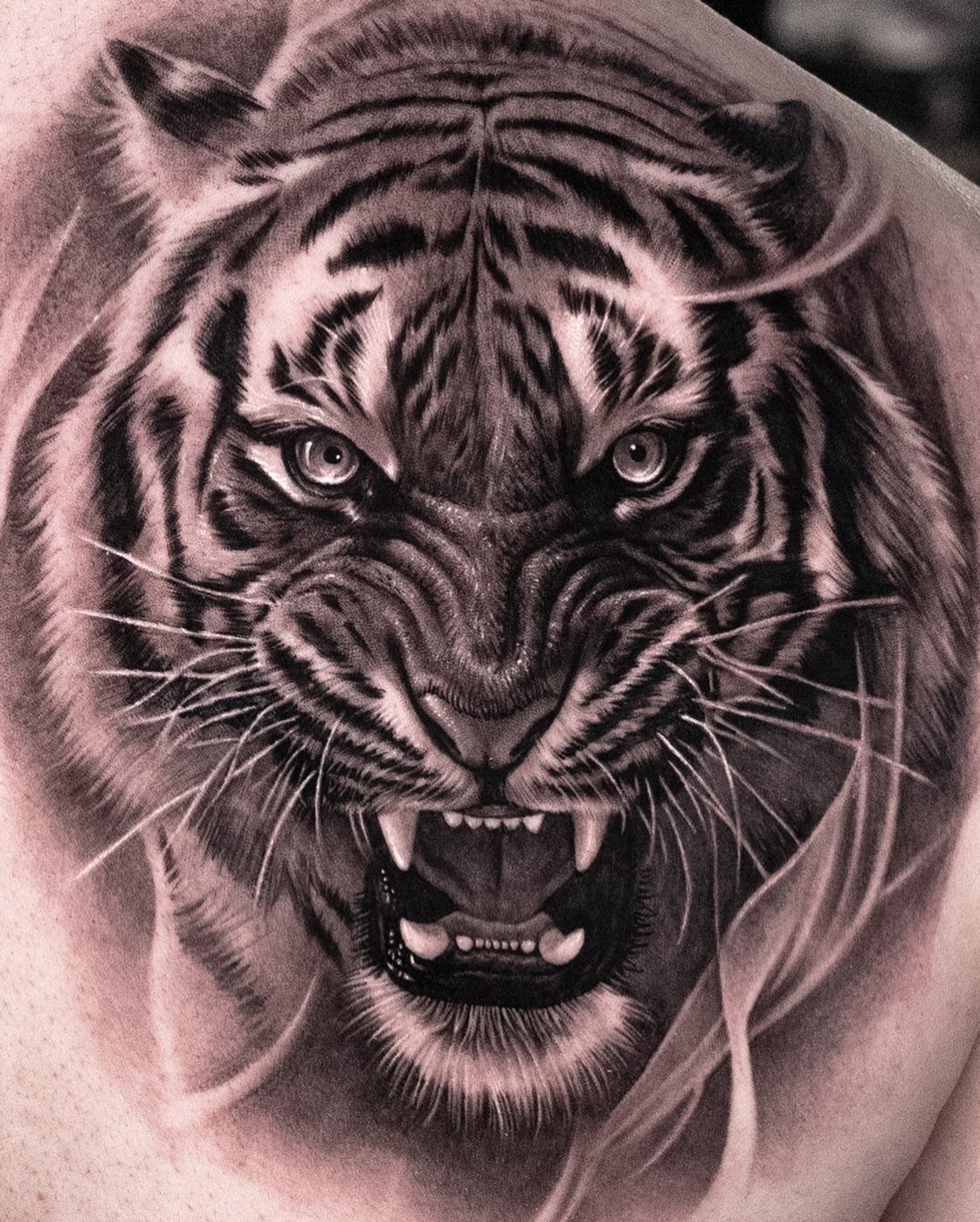 Roaring tiger face tattoo with open mouth and fangs on human skin