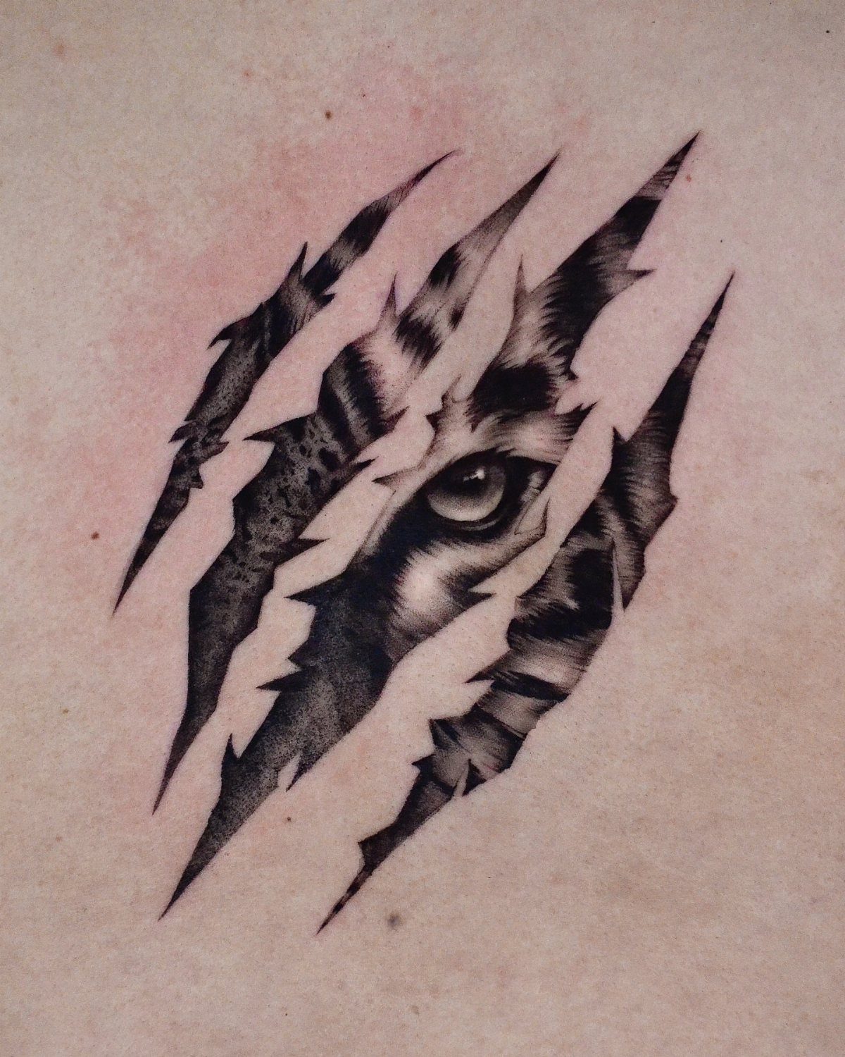 Tiger scratch tattoo showing a realistic eye and fur through ripped skin.