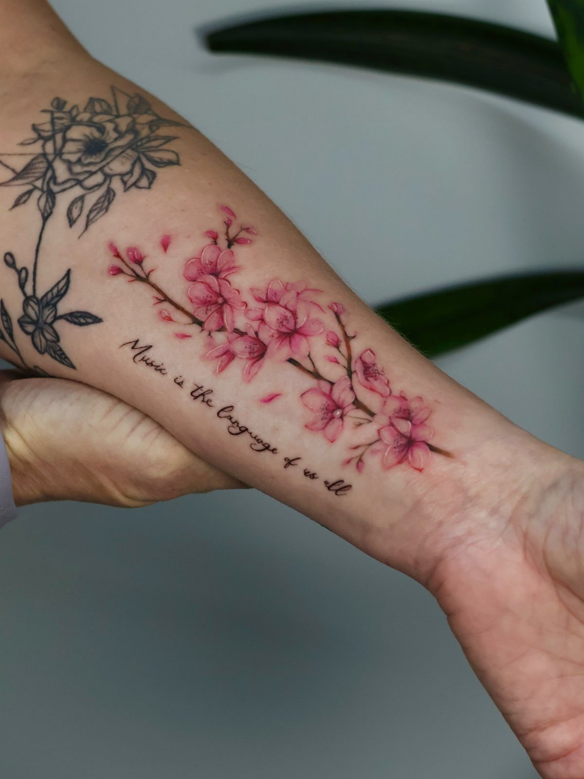 Pink cherry blossom branch tattoo with cursive text on a person's forearm
