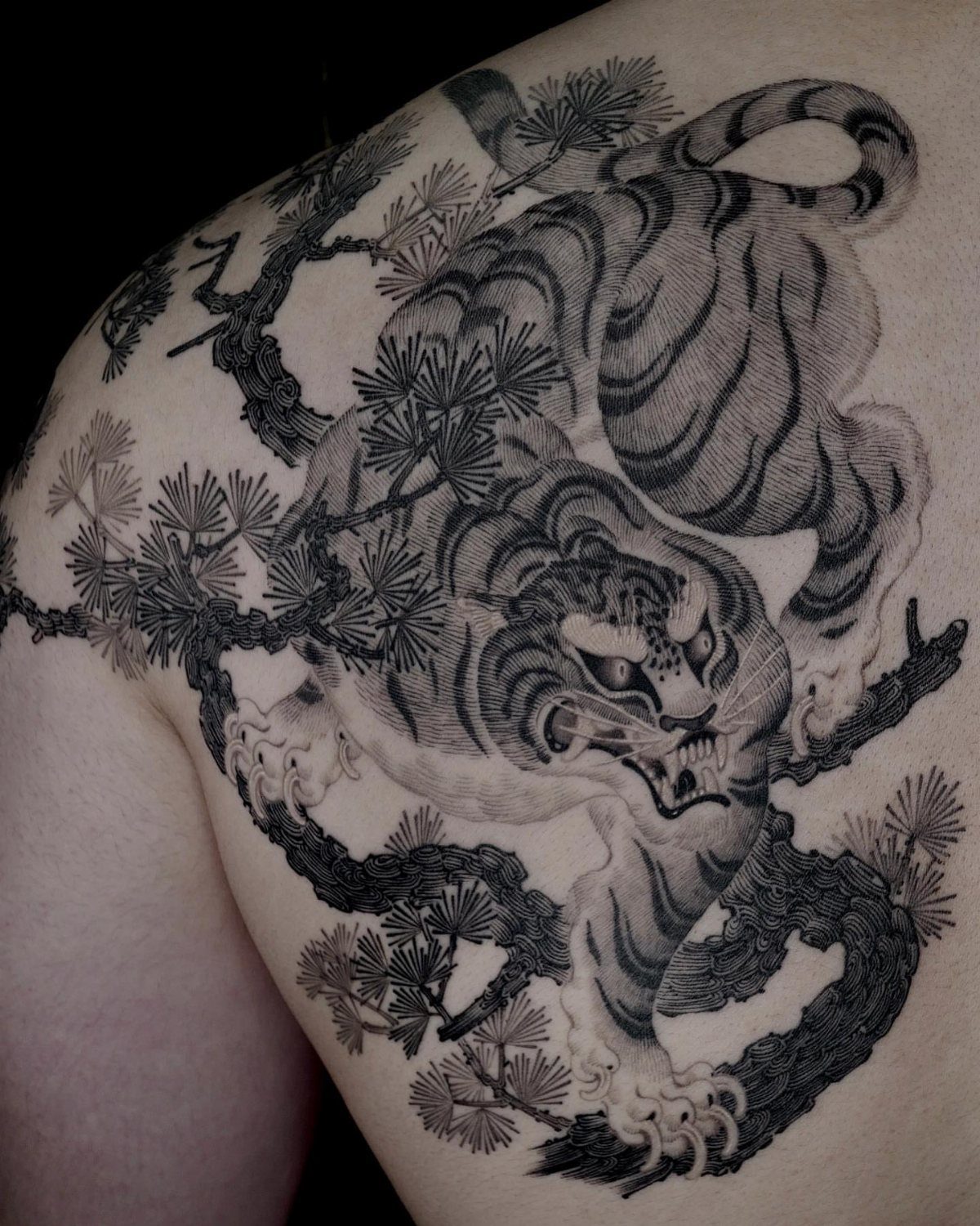 Traditional Japanese tiger tattoo on a shoulder featuring a tiger among pine branches.