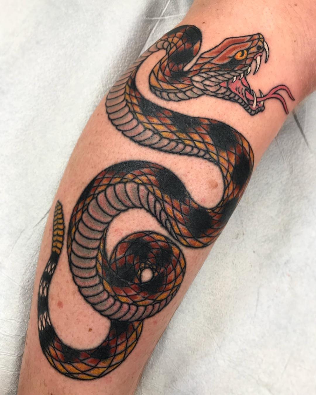 Rattlesnake tattoo with bold outlines and brown shading on a person's forearm.