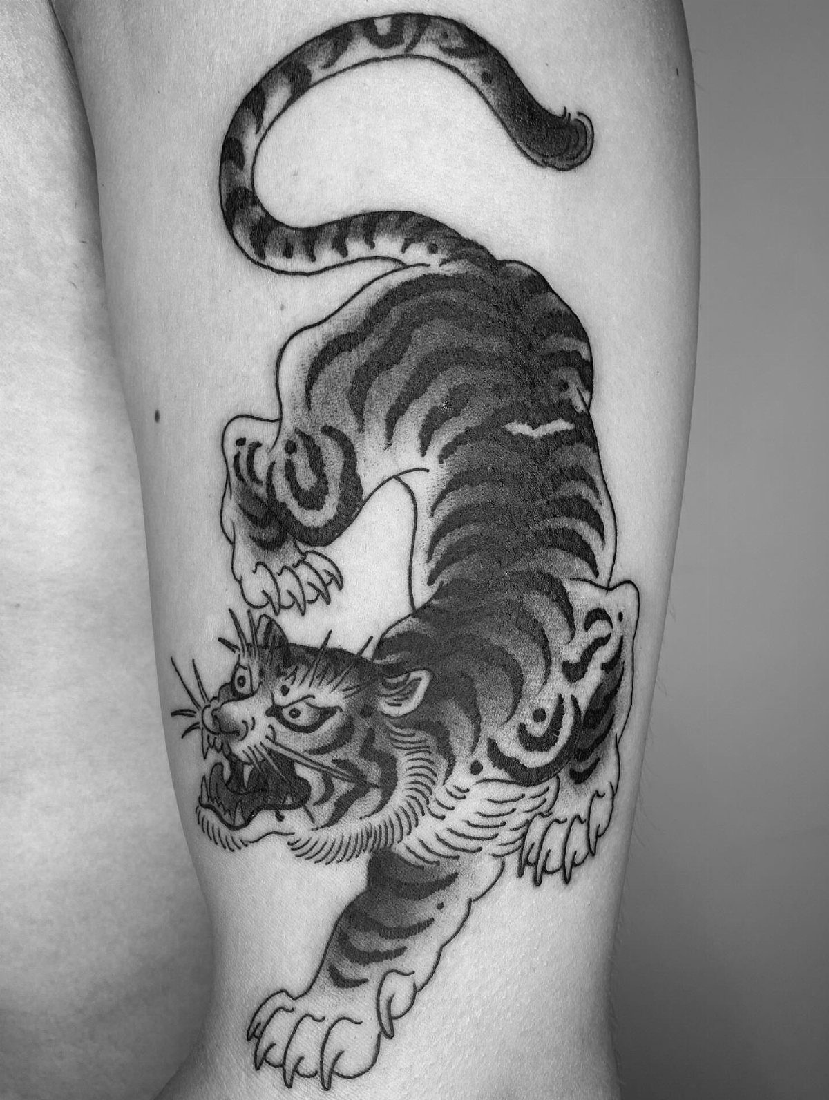 Traditional tiger tattoo with bold black lines and shading on human skin.