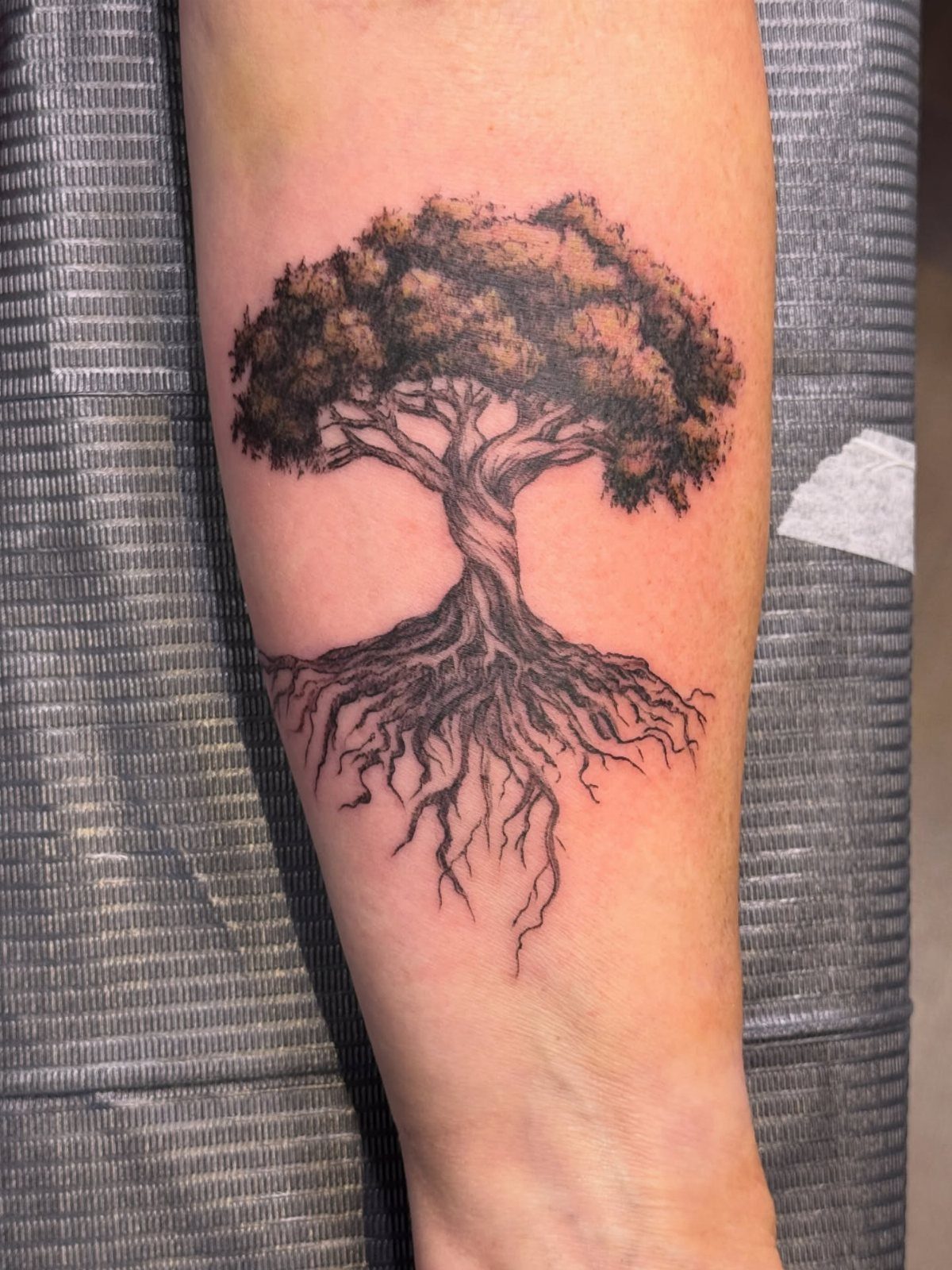 Tree of life tattoo on a forearm with brown leaves and detailed roots.