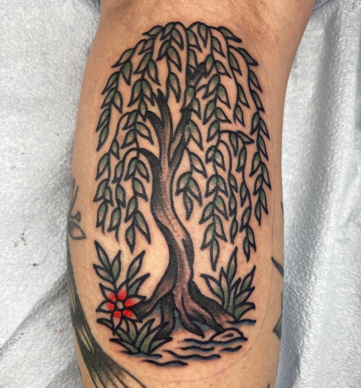 Weeping willow tree tattoo with bold lines, green leaves, and a red flower.